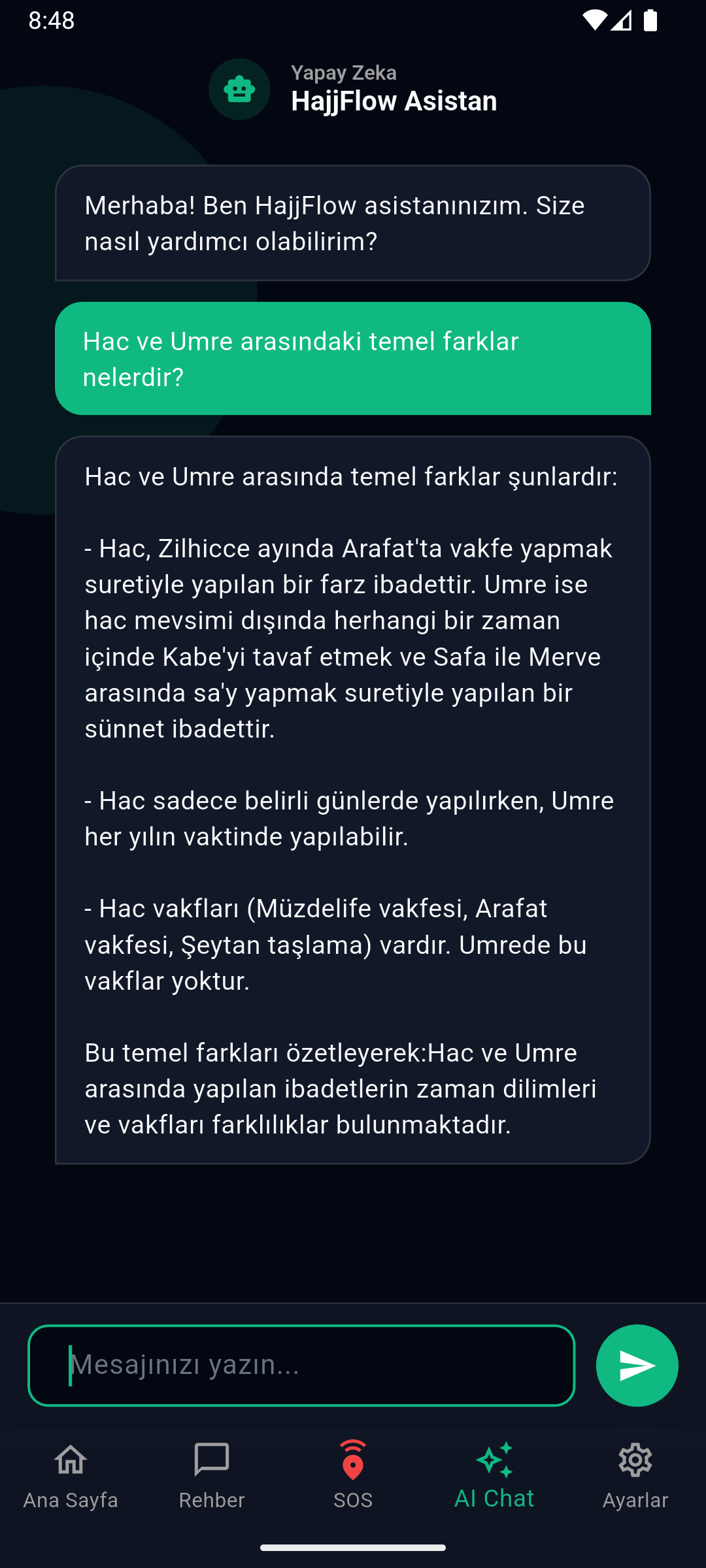 AI Chatbot Ekranı
